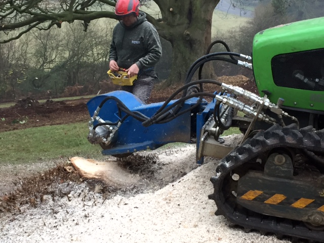Stump grinding / stump removal