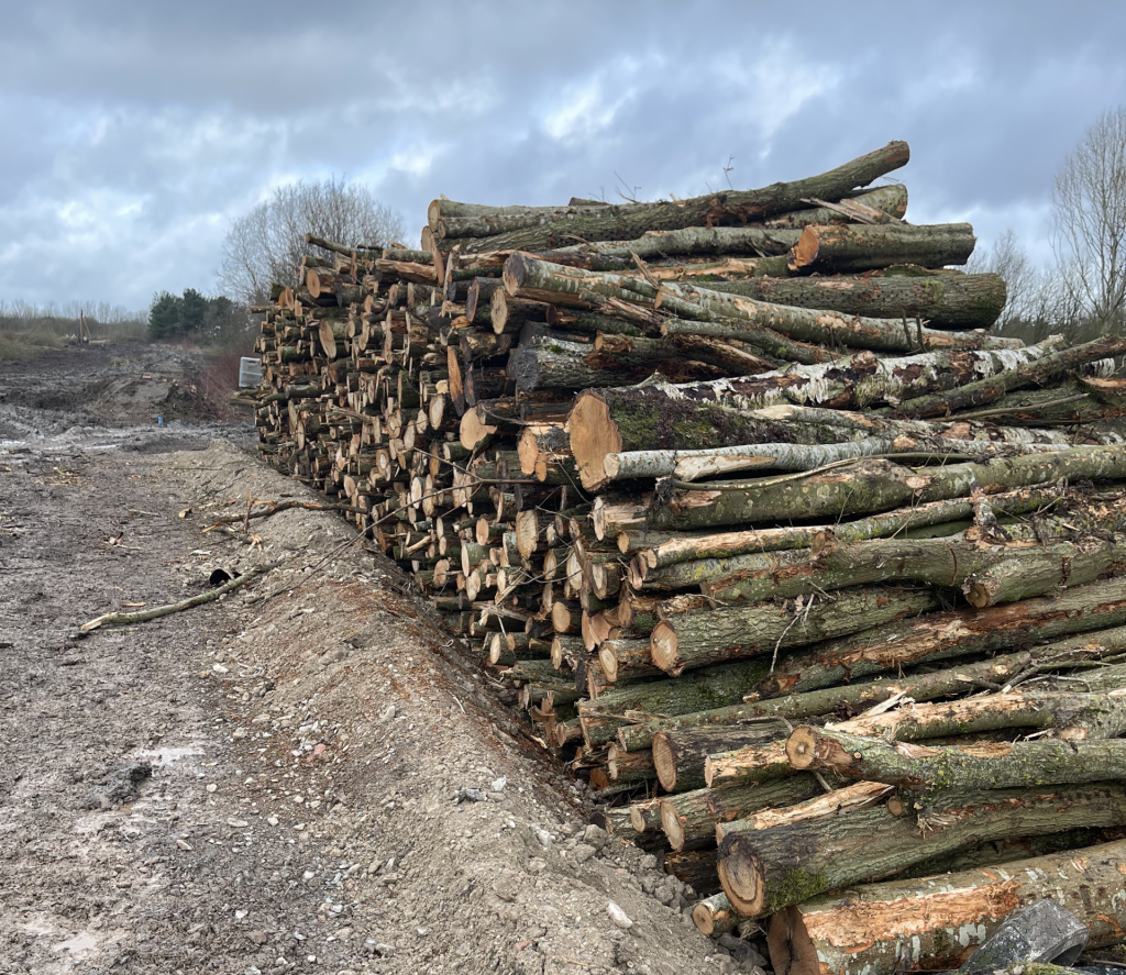 Forestry management services